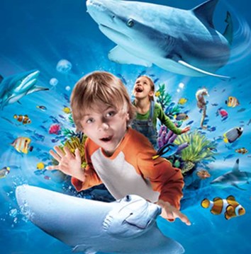 SEA LIFE