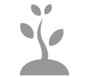 natural environment icon