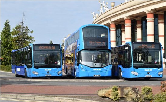 Diamond Buses